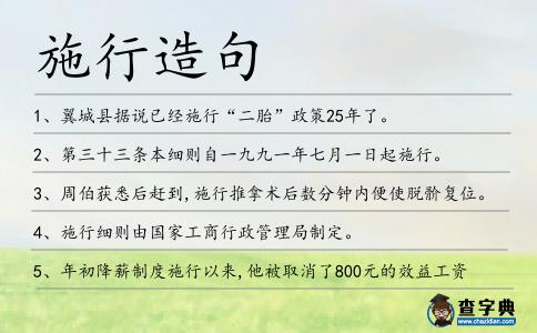 施行造句