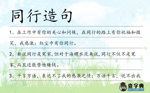 同行造句