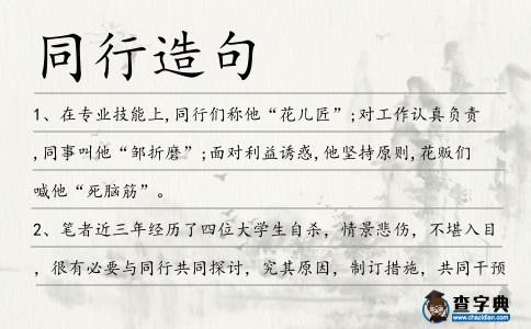 同行造句