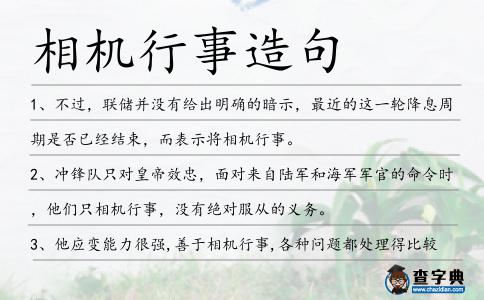 相機(jī)行事造句