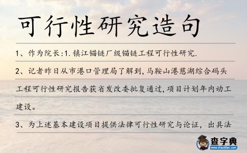 可行性研究造句
