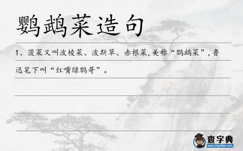 鸚鵡菜造句