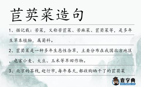 苣荬菜造句
