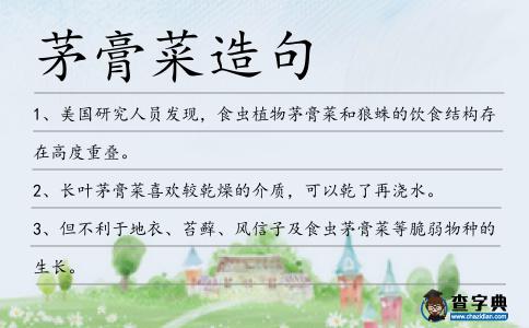 茅膏菜造句