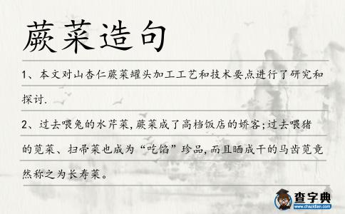 蕨菜造句