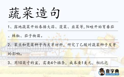蔬菜造句