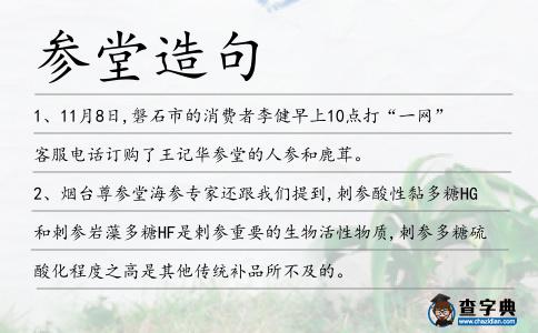 參堂造句