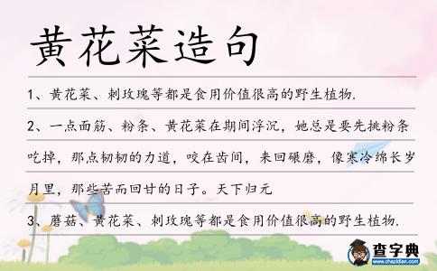黃花菜造句