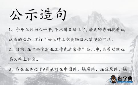 公示造句