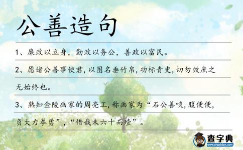 公善造句