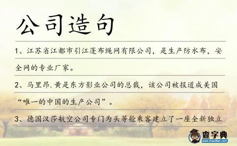 公司造句