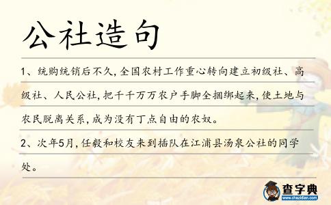 公社造句