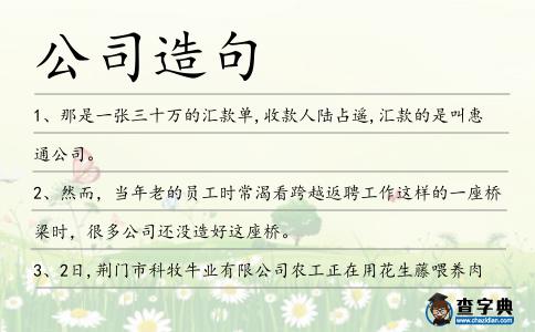 公司造句