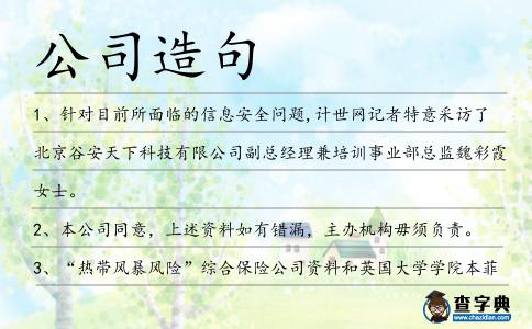 公司造句