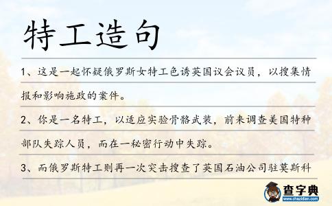 特工造句