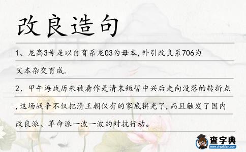 改良造句
