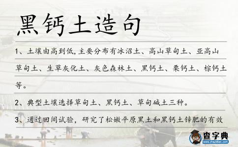 黑鈣土造句