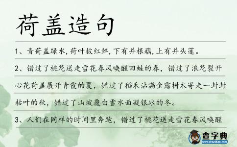 荷蓋造句