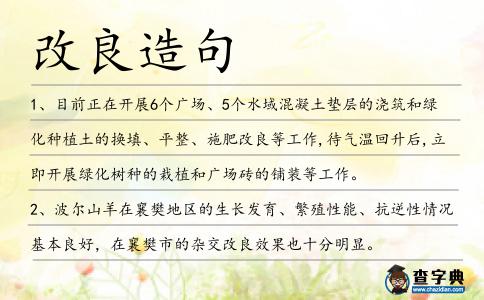 改良造句