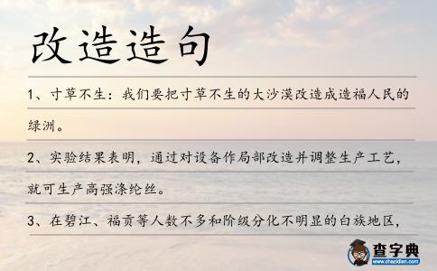 改造造句