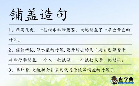 鋪蓋造句