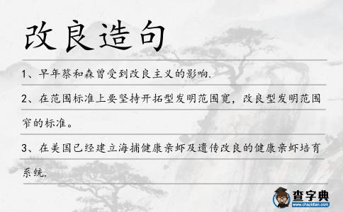 改良造句