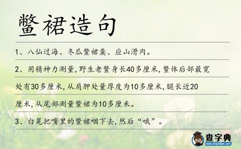 鱉裙造句