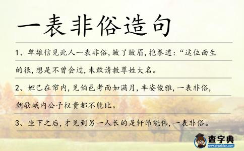 一表非俗造句