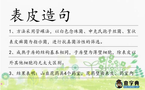 表皮造句