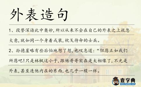 外表造句