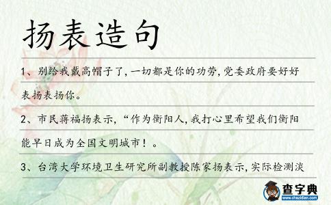 揚(yáng)表造句