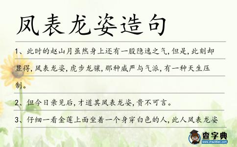 鳳表龍姿造句