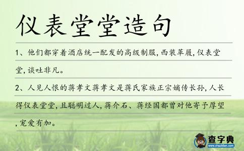 儀表堂堂造句