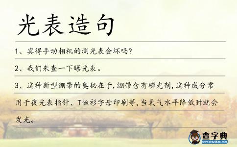 光表造句