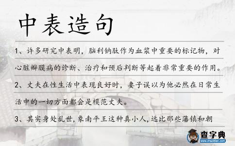 中表造句