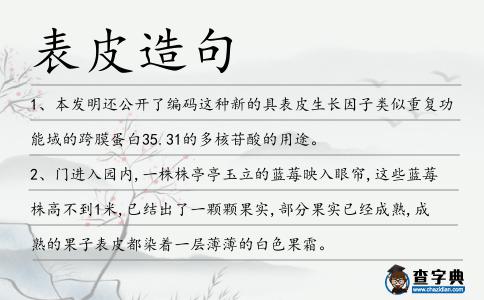 表皮造句