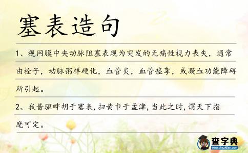 塞表造句