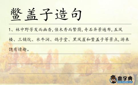 鱉蓋子造句
