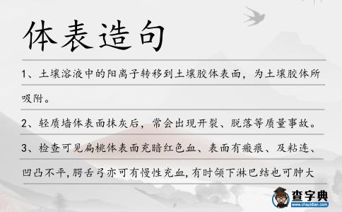 體表造句