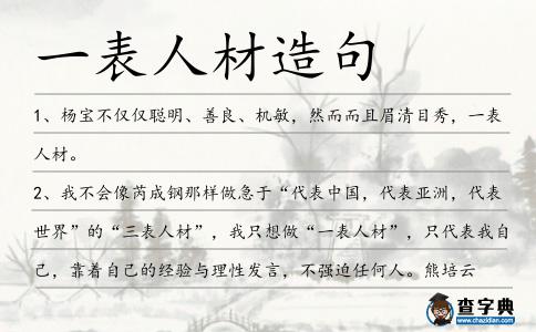 一表人材造句
