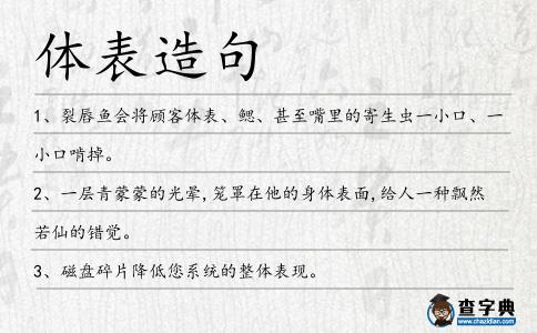 體表造句