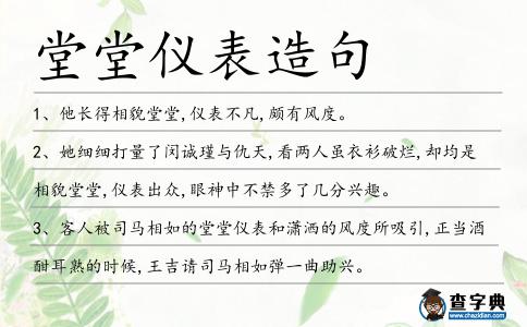 堂堂儀表造句