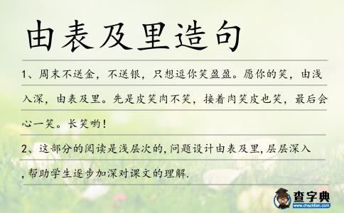 由表及里造句