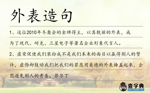 外表造句