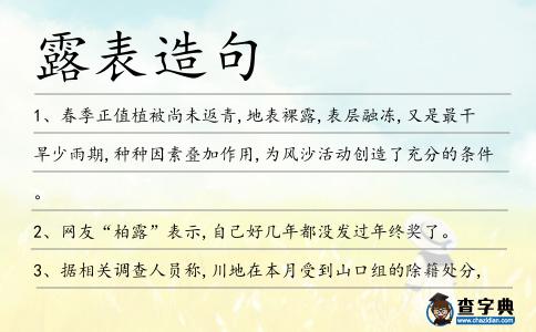 露表造句
