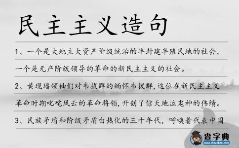 民主主義造句