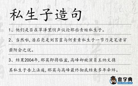 私生子造句