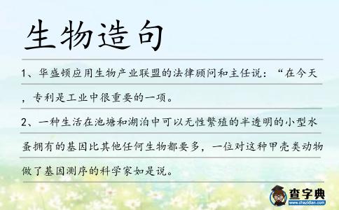 生物造句