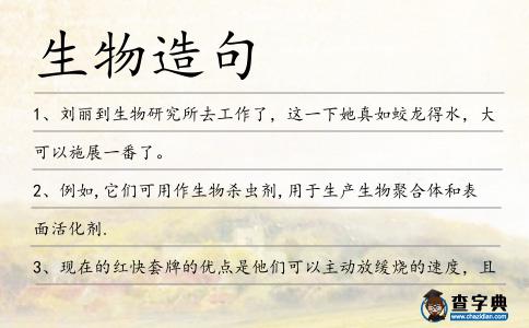生物造句