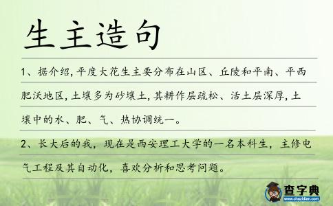 生主造句